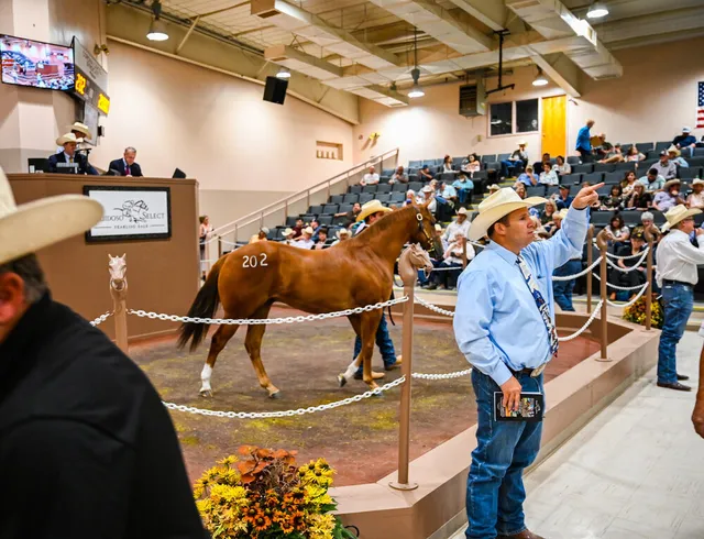 Ruidoso Horse Sales Co