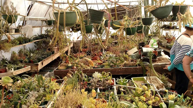 HILLSIDE DESERT Botanical GARDEN