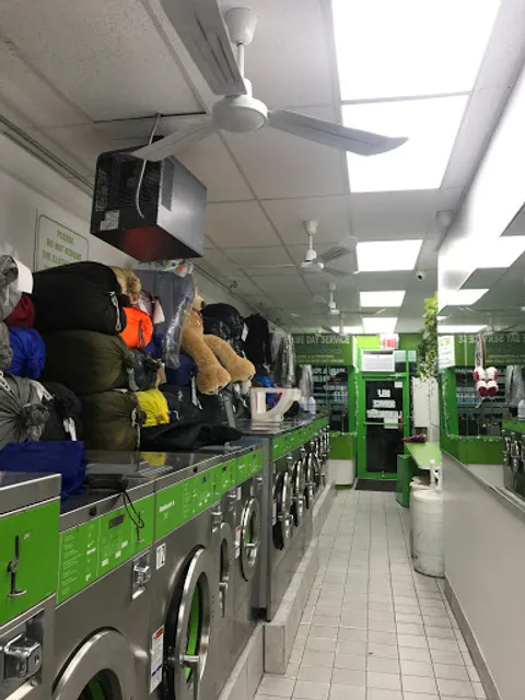 Miss Bubble Laundromat