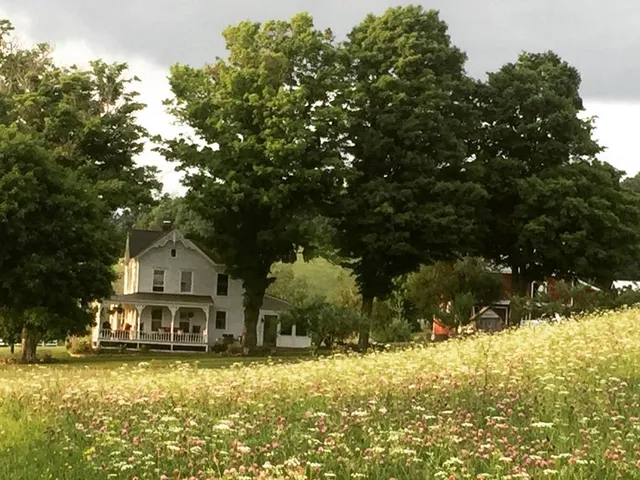 Slate Hill Lavender Farm