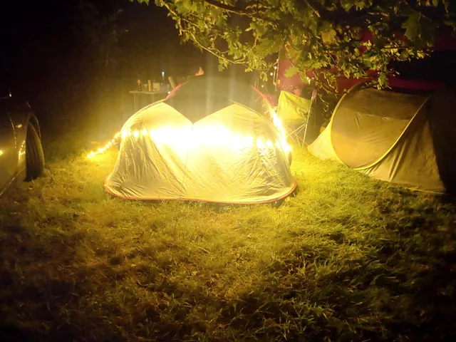 Primrose Fields Campsite