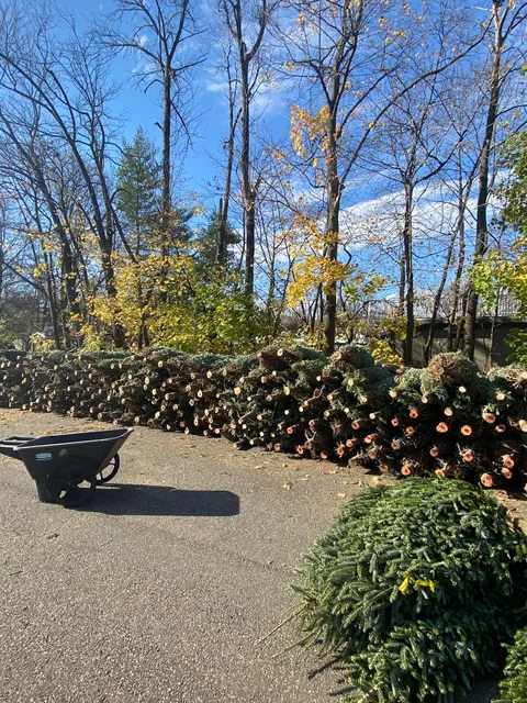 Fred's Christmas Trees