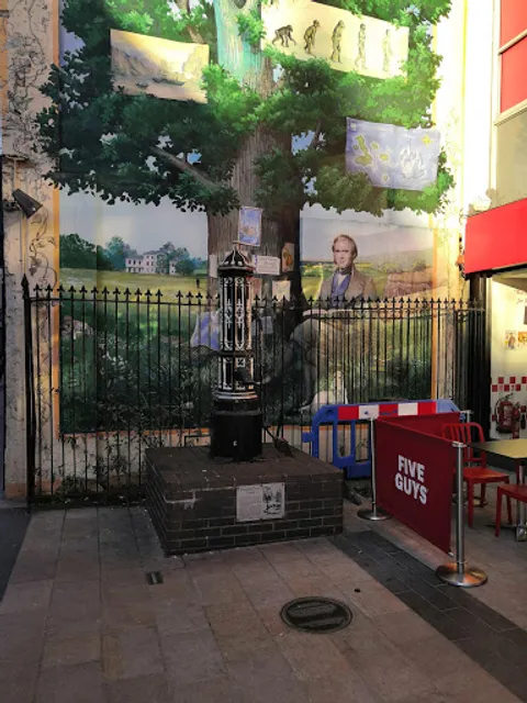 Five Guys Burgers and Fries Bromley