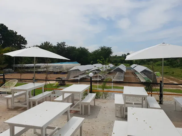 all about me @ Woodtichai Farm