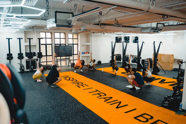 UNDIVIDED Performance (UNDVD)