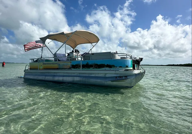Green Turtle Charters