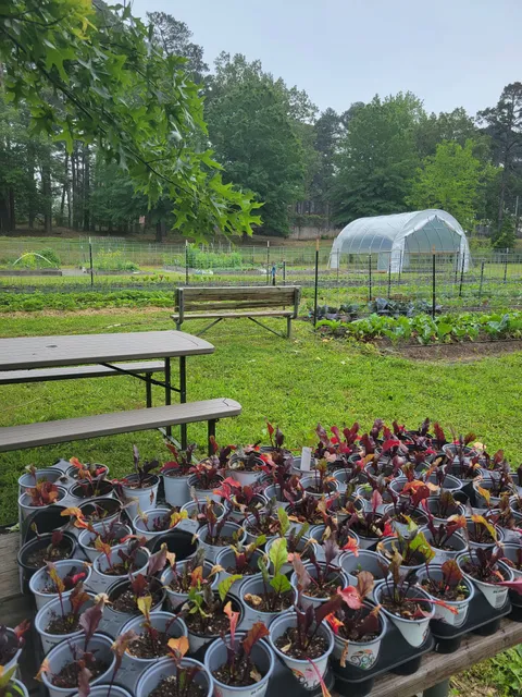 Oak Forest Community Garden
