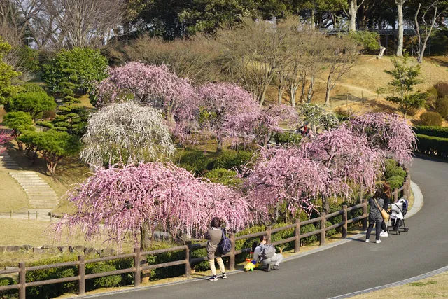 Hananogaoka Park and Kitakyushu Municipal General Agricultural Center