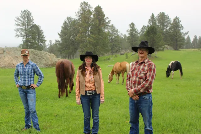 Hollingsworth Horses