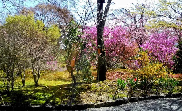 Garden of Hundred Flowers