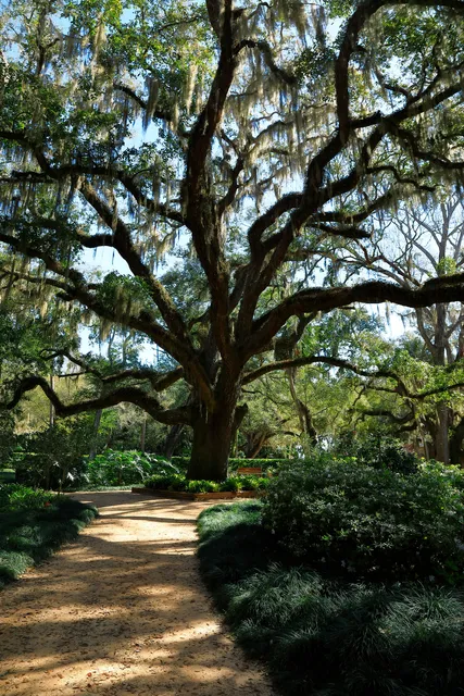 The Rocks-Washington Oaks State Park
