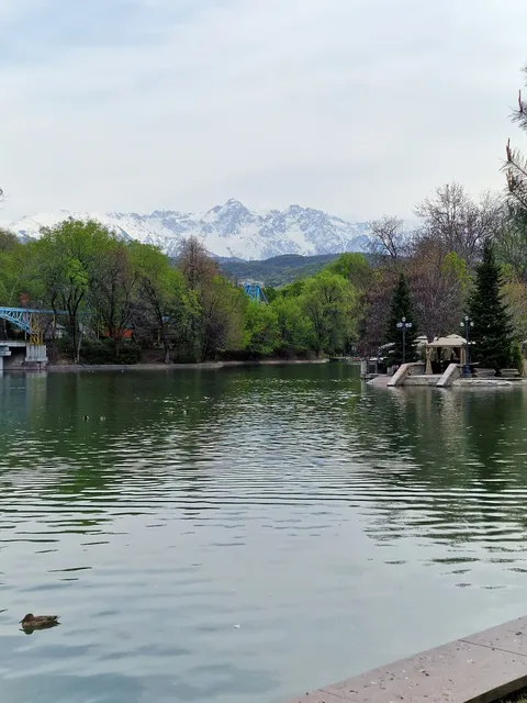 Central Park Pond Beach