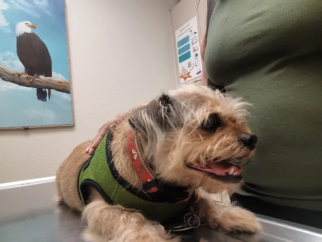 Underhill Animal Hospital