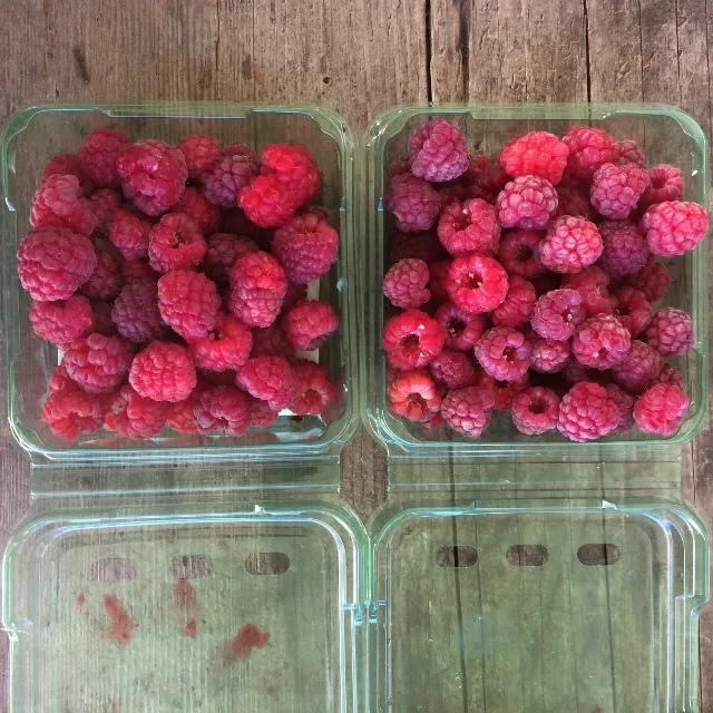 Sublime Organics LLC