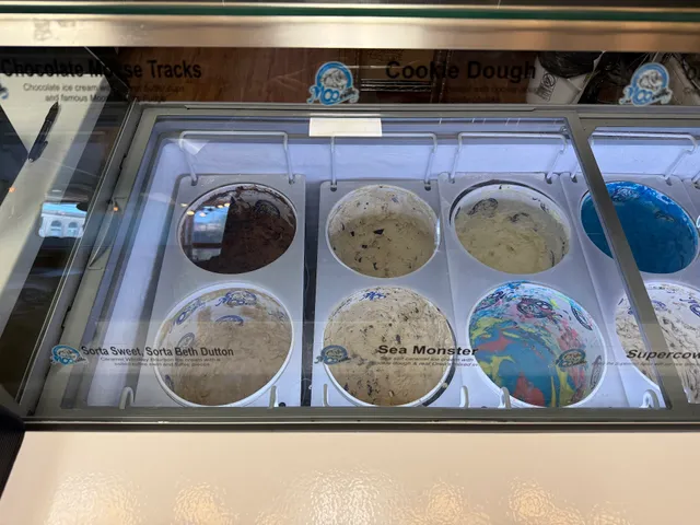 Saddleback Ice Cream - REO Town