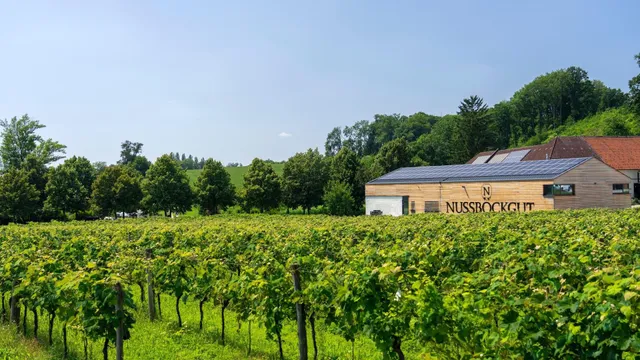 Nussböckgut - Familie Velechovsky