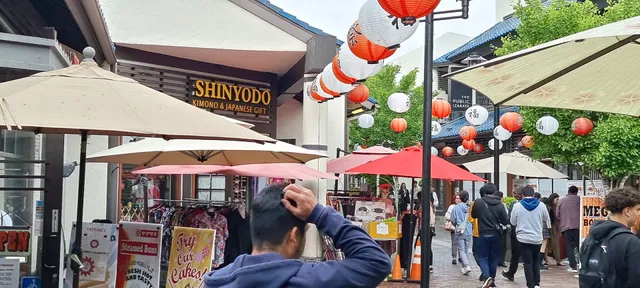 Tokyo Japanese Lifestyle