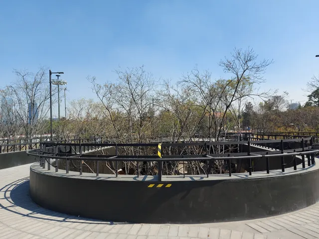 Calzada Flotante Los Pinos