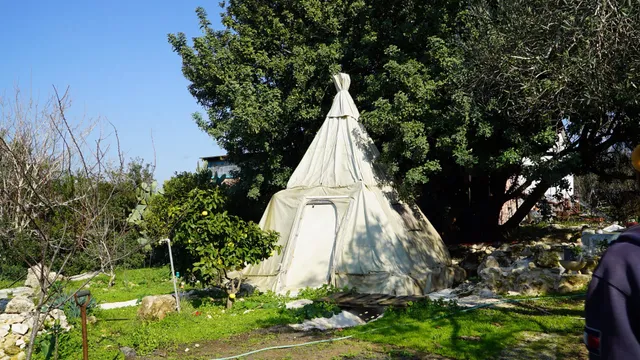 שבט אחים / Galilee Bedouin Camplodge