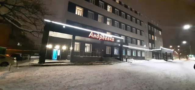 Andreyevka hotel