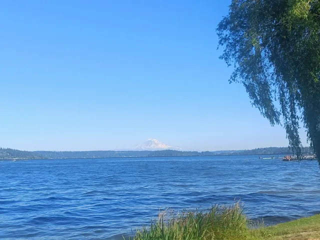 Madrona Park - Lake Washington View Point