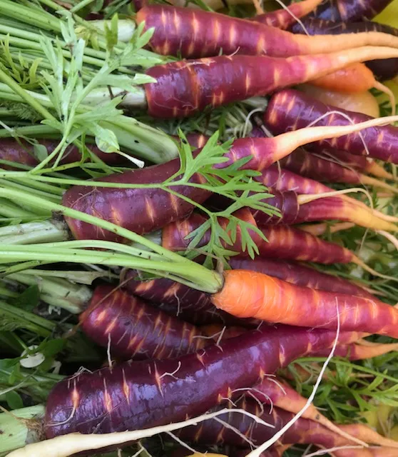 Old Farm Truck Market