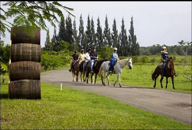Campo Rico Trail Rides - ATV, UTV & Horseback Riding