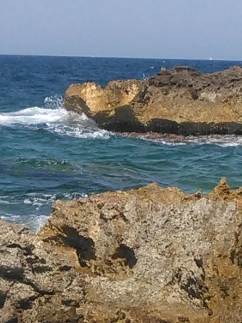 Il Carrubo del Salento