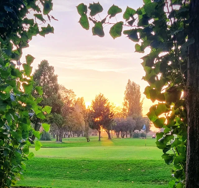 Le Vigne S.S.D. A R.L.