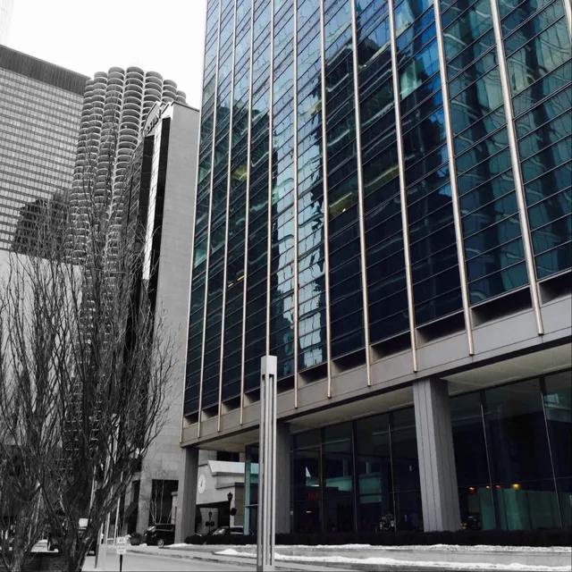 American Bar Association