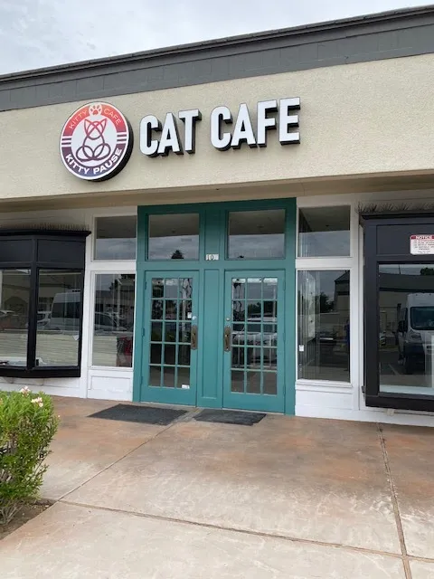 Kitty Pause Kitty Café