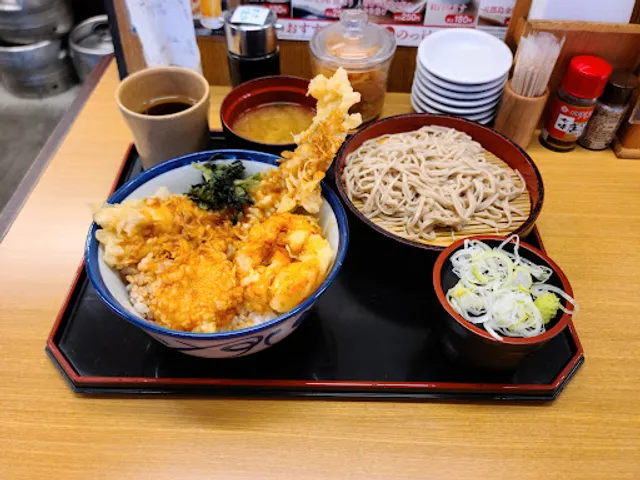 Tendon Tenya