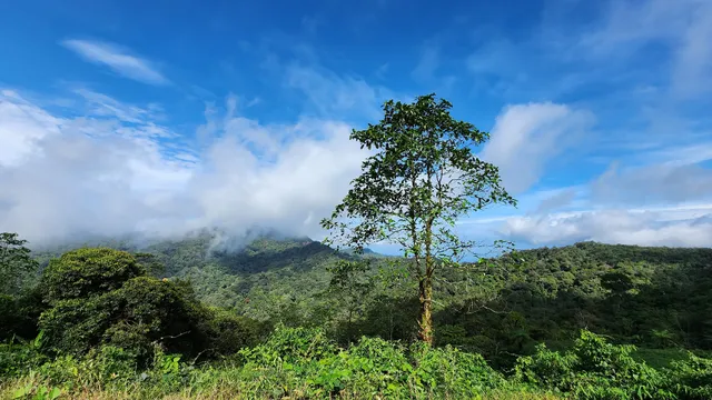 Banjaran Crocker 16 Miles spot, Kimanis, Sabah.