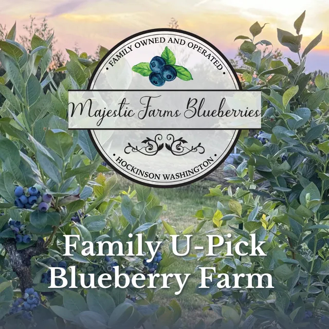 Majestic Farms Blueberries