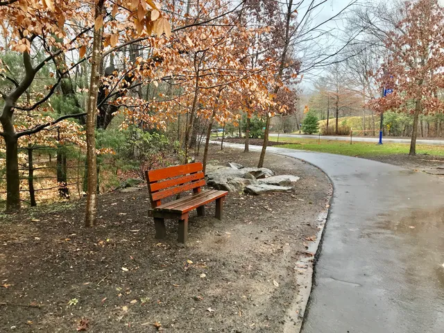 University of North Carolina Asheville