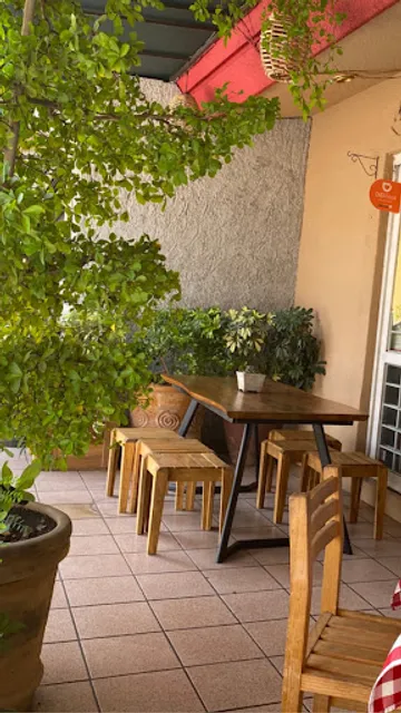 Olivo Panini, pasta y pizza