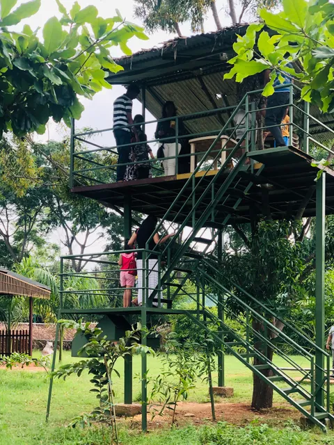 1000 SILVERS (Farm Stay)