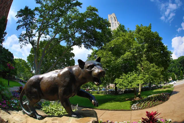 University of Pittsburgh Admissions
