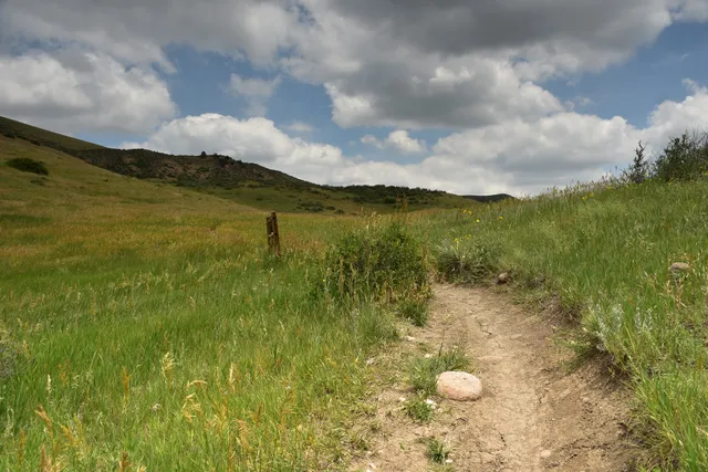 Rooney Road Trailhead