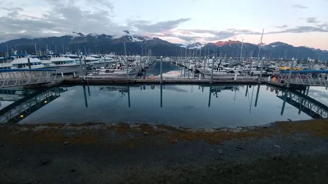 Seward Ocean Excursions