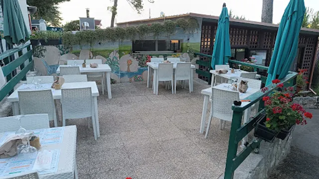 AMÀDO DI DEL VISCIO MATTEO