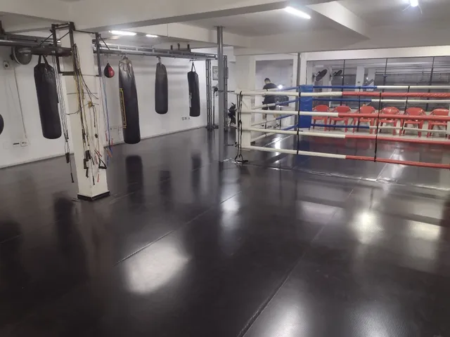 Academia Versus Fight Club