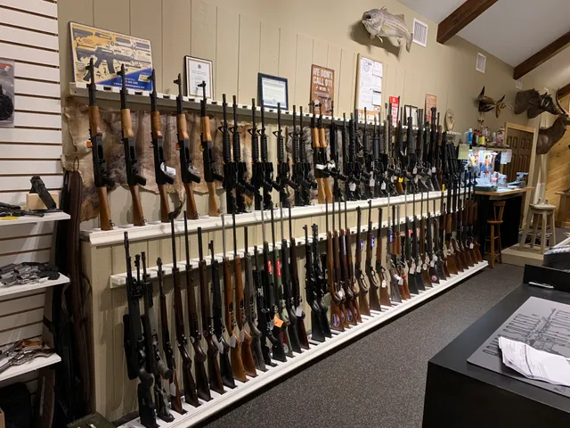 Spring Brook Township