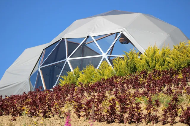 Refugio Hills Glamping