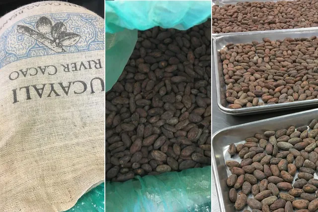 DAR Chocolate Factory Outlet