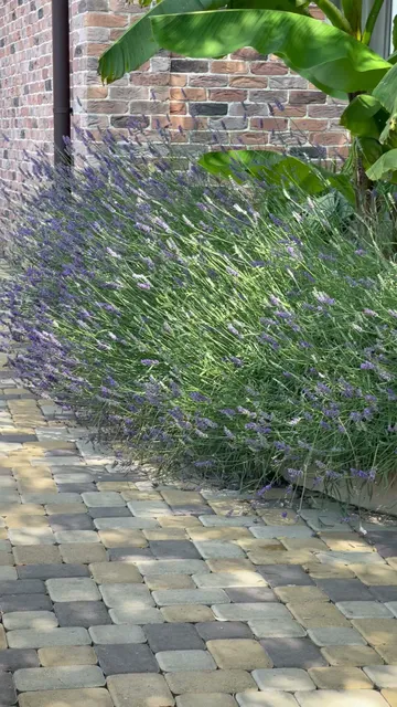 Guest house "Panorama"