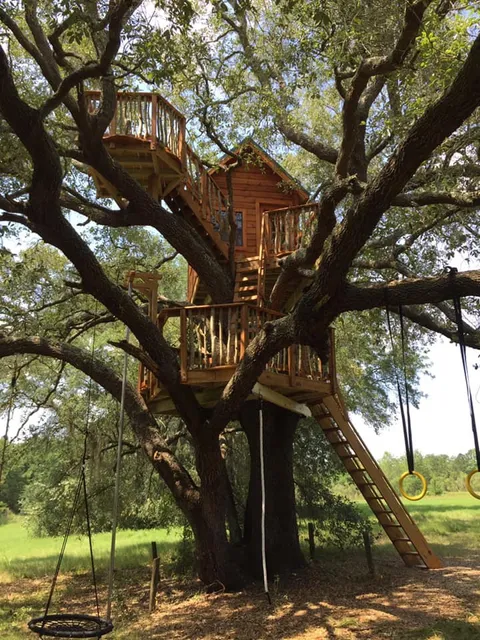 Treehouse Experts 🌲