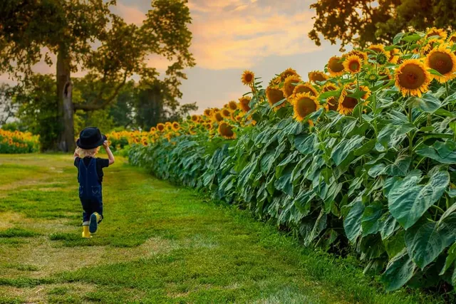Rinehart's Family Farm