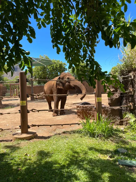 Honolulu Zoo Elephant Enclosure