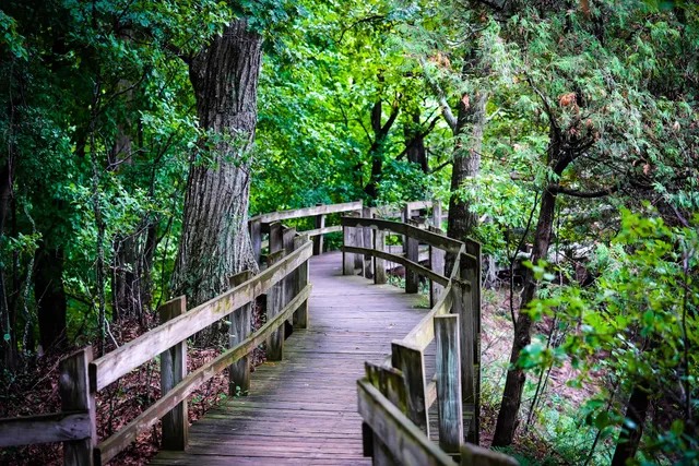 Ludington State Park Skyline Trail Dune Climb